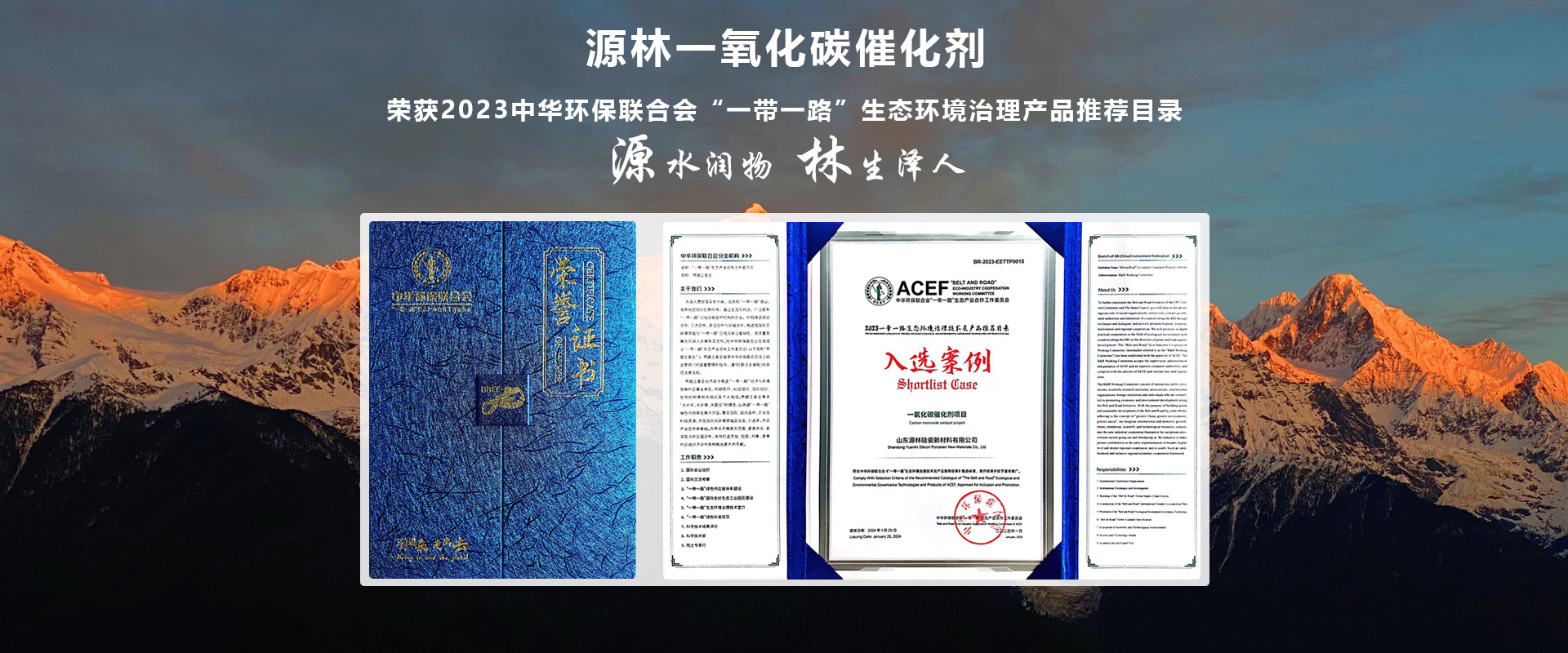 源林一氧化碳催化剂荣获2023中华环保联合会一带一路推荐目录